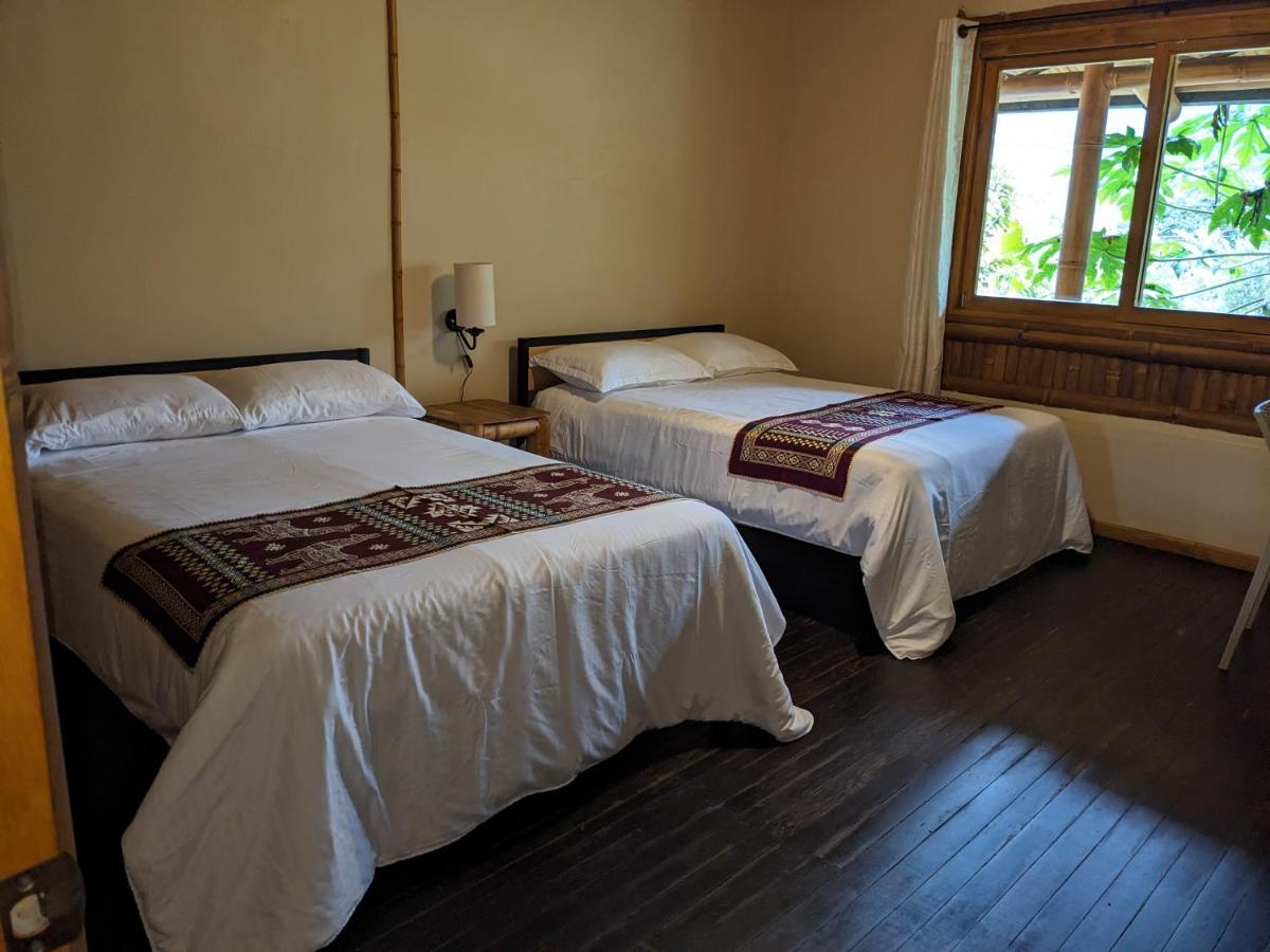 Golden Tree Mindo Eco-Lodge Экстерьер фото