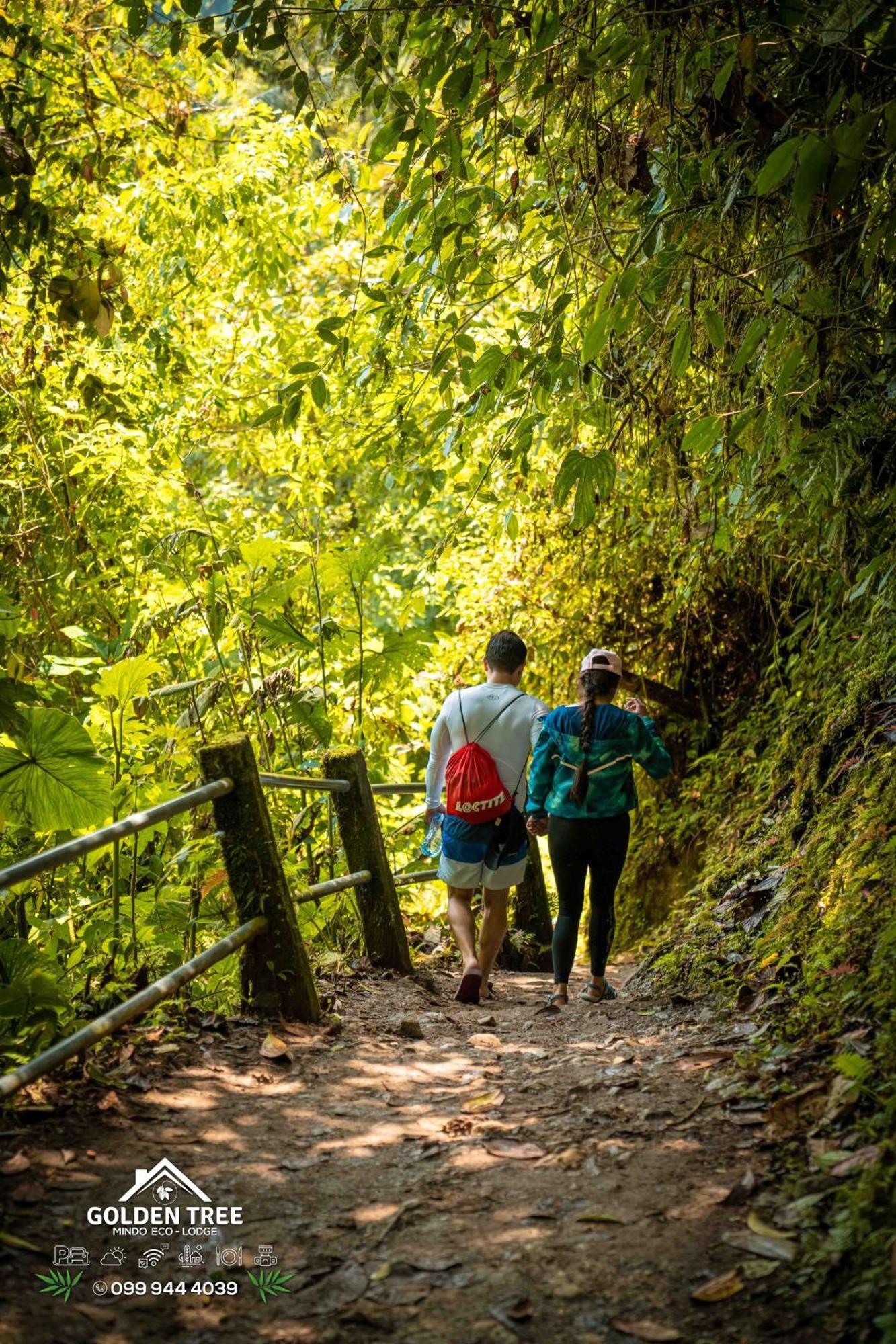 Golden Tree Mindo Eco-Lodge Экстерьер фото