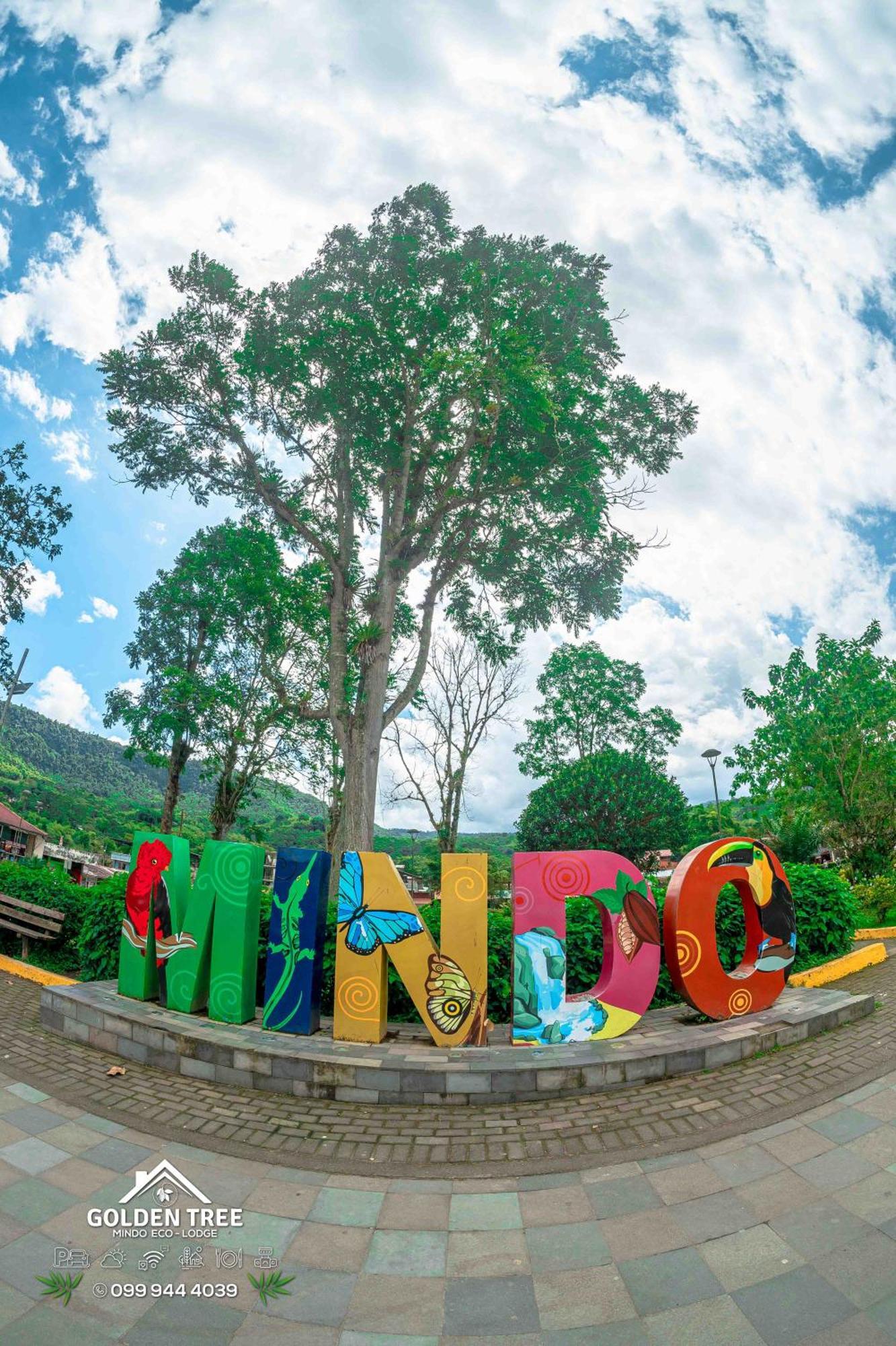 Golden Tree Mindo Eco-Lodge Экстерьер фото